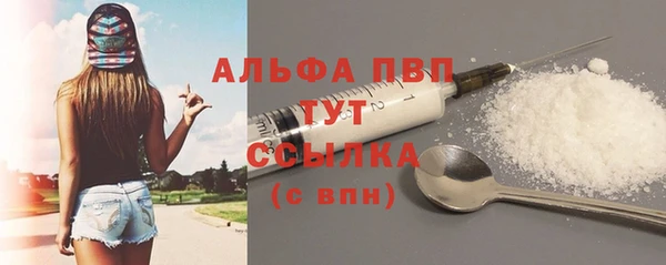 индика Вязьма